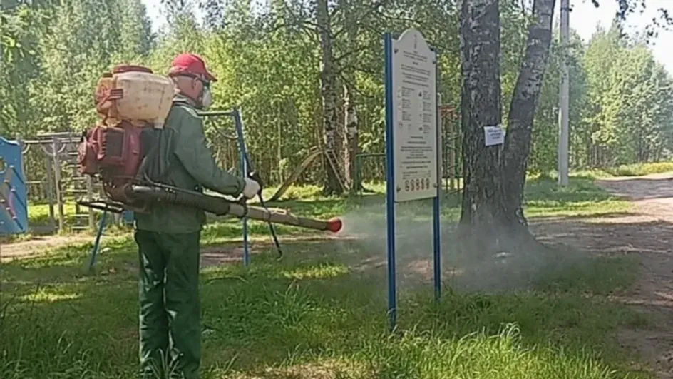 В Иванове начали обработку детских площадок от клещей В Иванове начали обработку детских площадок от клещей