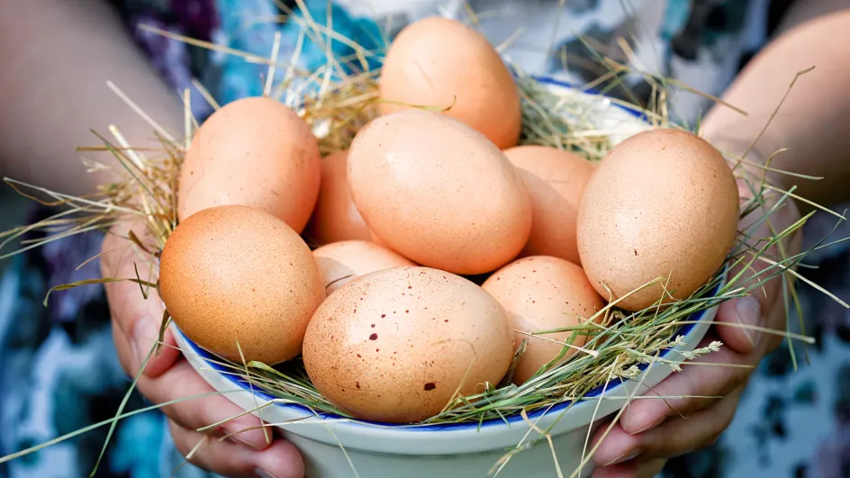 Ивановская область стала производить меньше яиц