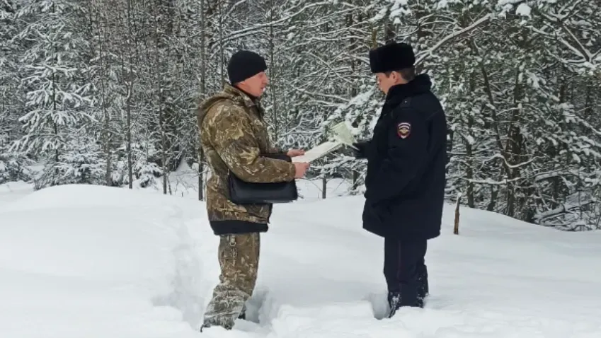 В Ивановской области за новогодние праздники незаконно не срубили ни одну елку