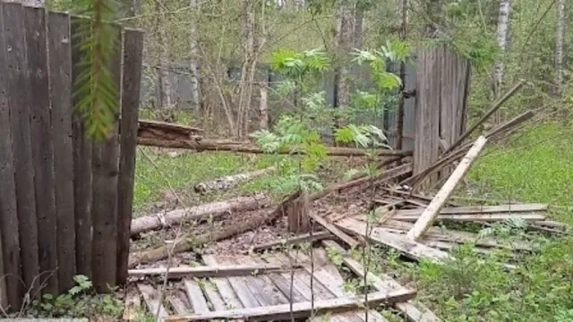 В Ивановской области найдены опасные зараженные скотомогильники