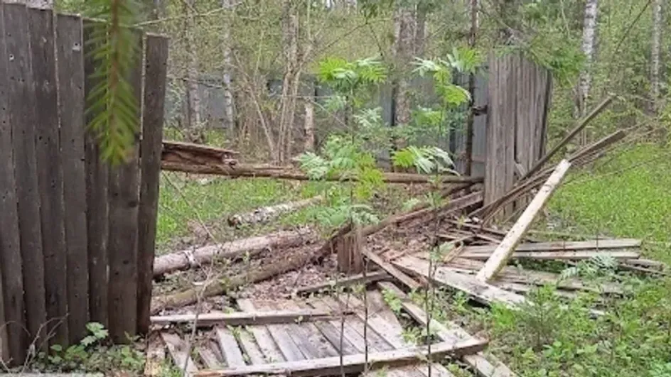 В Ивановской области найдены опасные зараженные скотомогильники