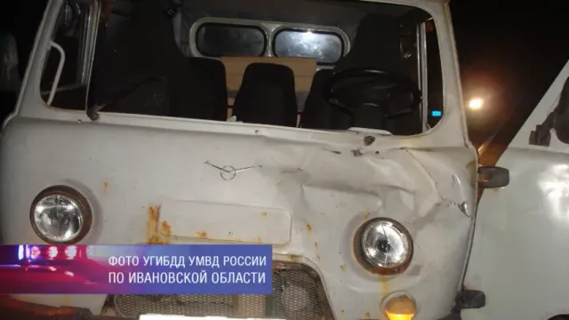 В Ивановской области при столкновении с лосем ранена дама