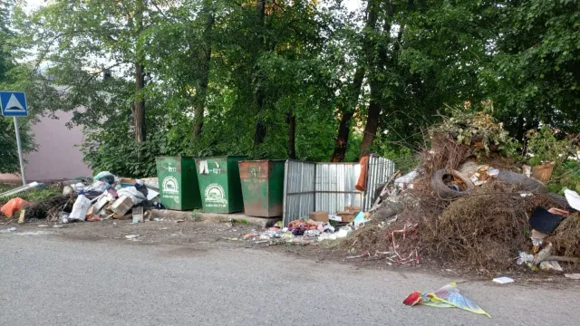 В Тейкове на одной из улиц мусор не вывозят больше меяца