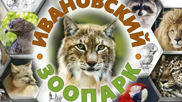 Ивановский зоопарк переходит на летний режим работы