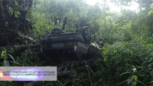 В Лухском районе дедушка погиб на сельской трассе