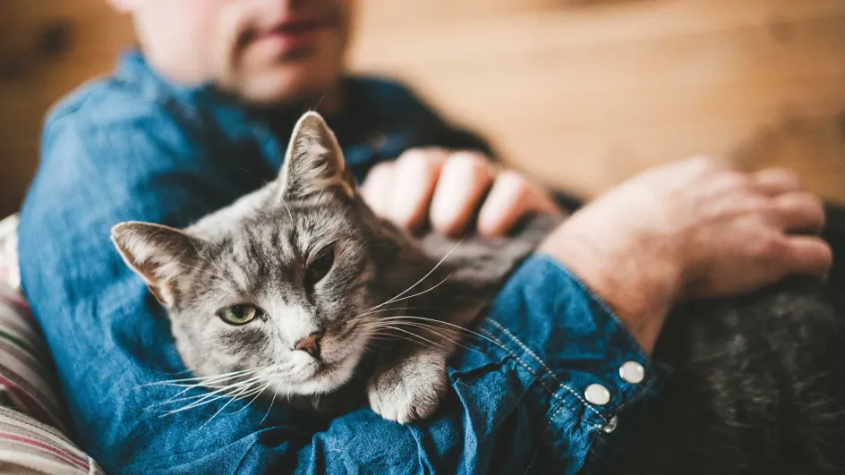 Россияне начали сдавать в аренду подвалы и домашних животных