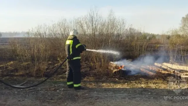 В Вичугском районе случился очередной лесной пожар