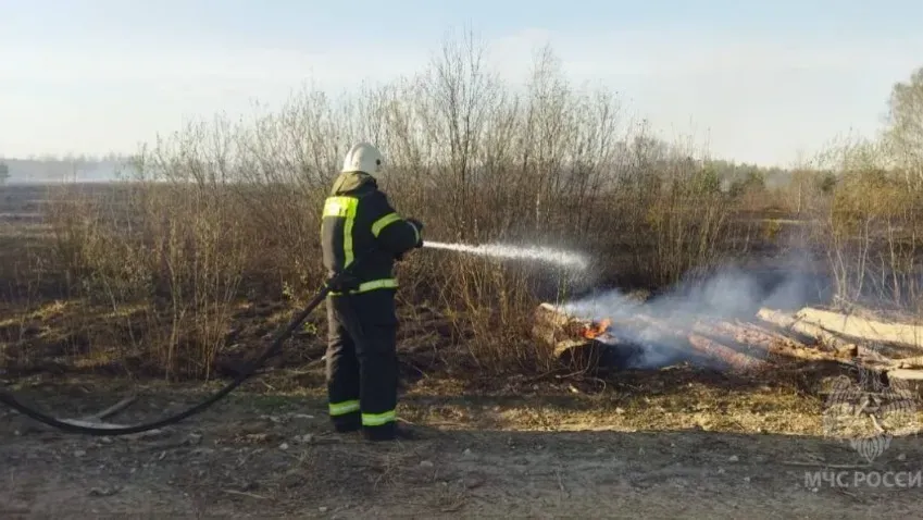 В Вичугском районе случился очередной лесной пожар