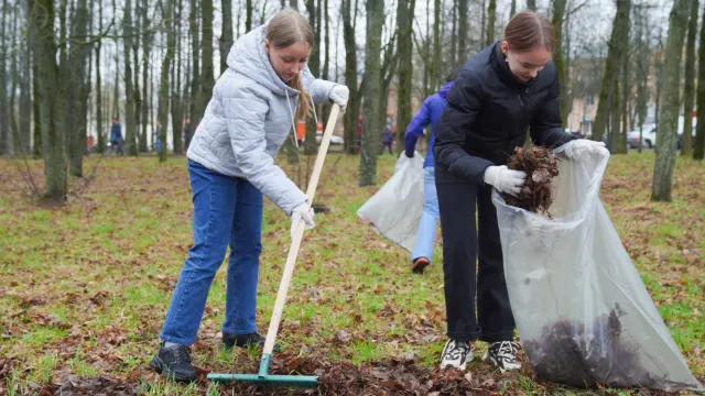В Ивановской области стартует всероссийская акция «Зелёная Весна»