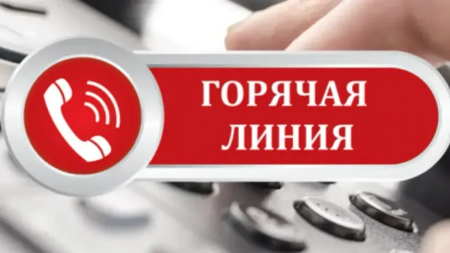 В Ивановской области открыта горячая линия по клещевому энцефалиту