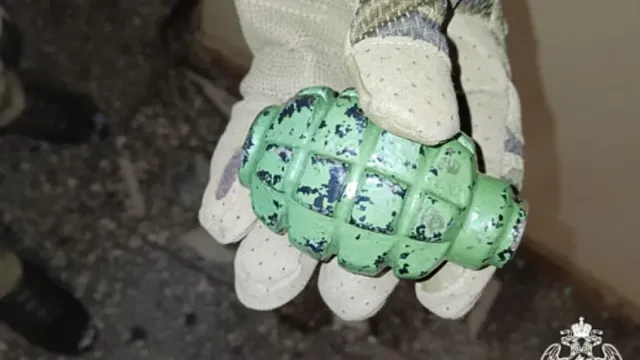 В одной из ивановских квартир полиция обнаружила боевую гранату