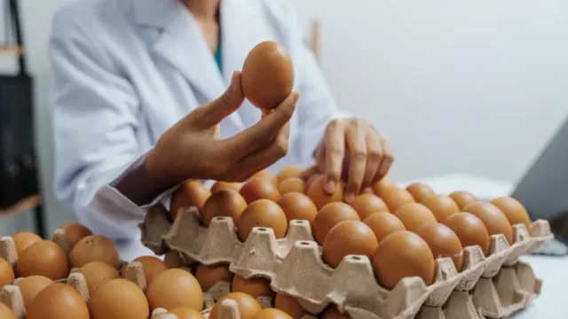 Яйца подешевели?! Чудо свершилось!