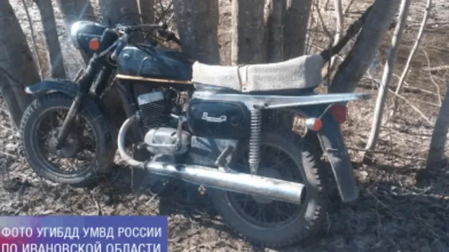 В Тейковском районе пьяный на мотоцикле сбил кабана