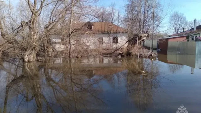 В Холуе Южского района на утро 3 марта затопило еще 13 приусадебных участков