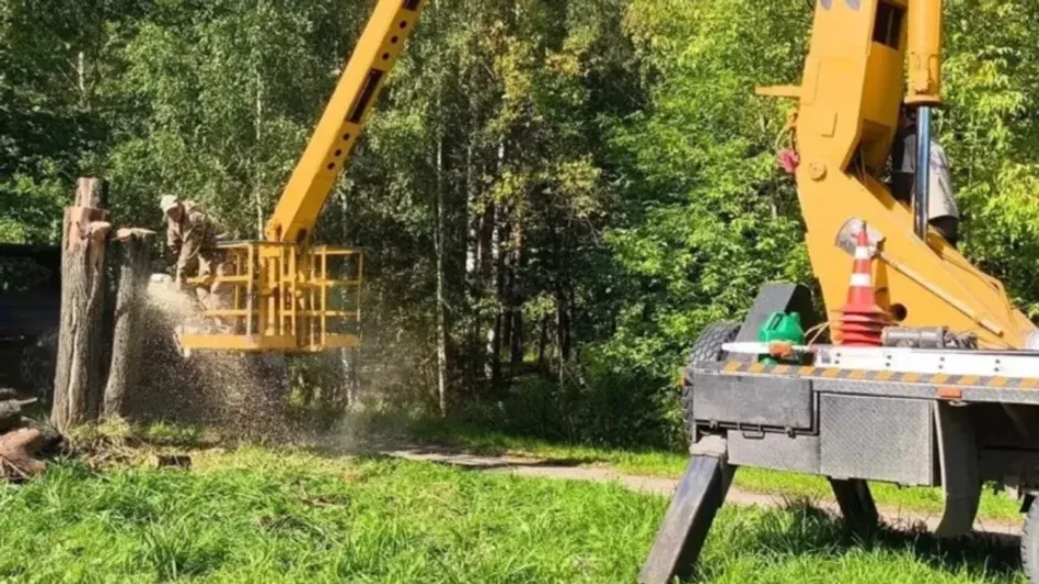 В Новой Сластихе снесли более 30 аварийных деревьев В Новой Сластихе снесли более 30 аварийных деревьев