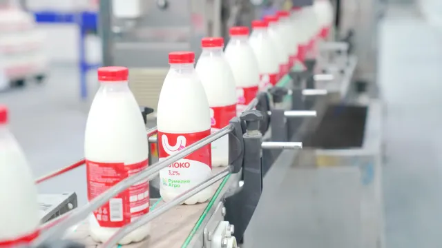 В Ивановской области резко выросло производство молочной продукции