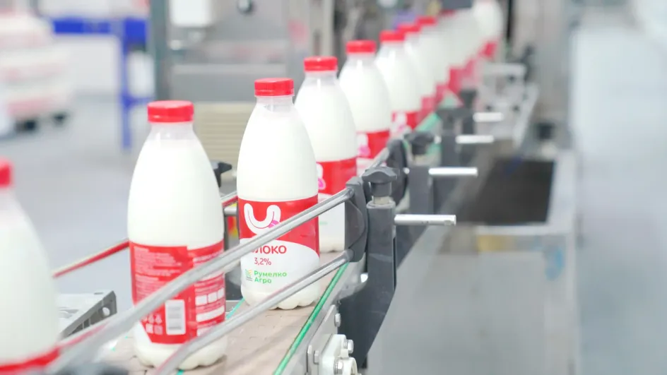 В Ивановской области резко выросло производство молочной продукции