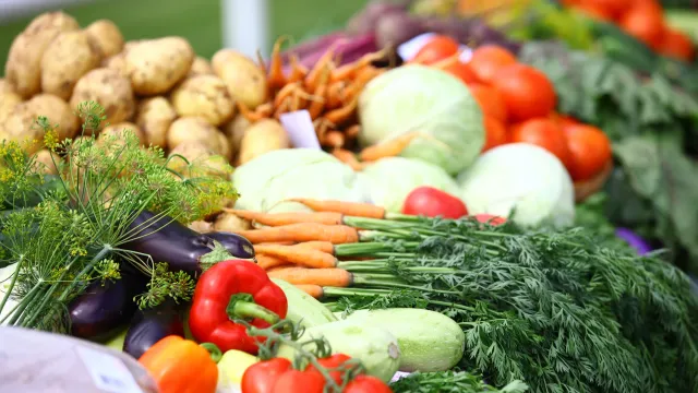 Урожай года: Россия обеспечит продуктами всех?