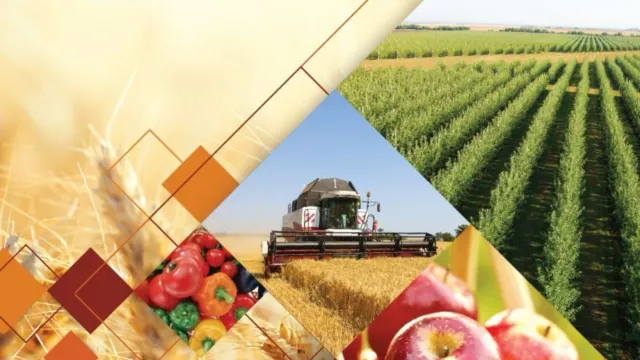 По итогам 2023 года аграрии Ивановской области нарастили объемы производства